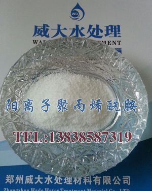 阳离子聚丙烯酰胺